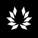 Company Logo for MeritFirst